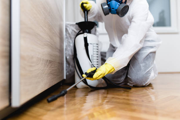Pest Control for Restaurants in Port Jervis, NY