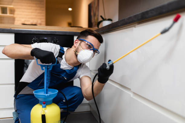 Best Pest Removal Services  in Port Jervis, NY