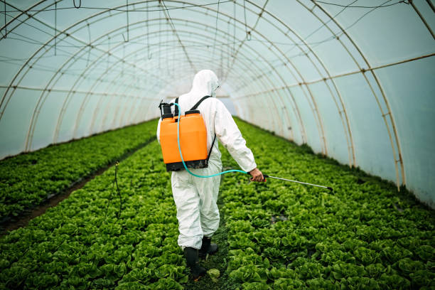 Best Pest Inspection Near Me  in Port Jervis, NY