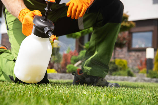 Best Local Pest Control Services  in Port Jervis, NY