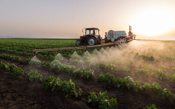 Best Commercial Pest Control Services  in Port Jervis, NY