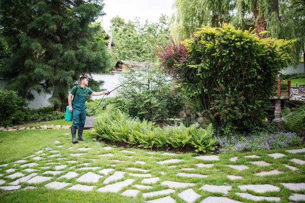 Wasp Removal Services in Port Jervis, NY
