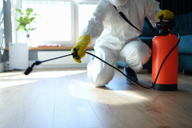 Best Pest Control Treatment  in Port Jervis, NY