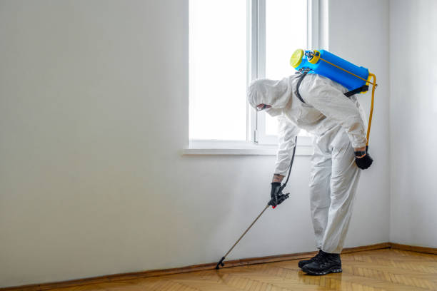 Wildlife Control Services in Port Jervis, NY