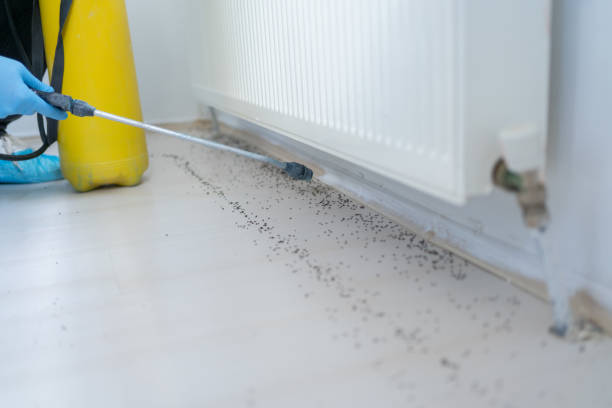 Best Pest Control for Restaurants  in Port Jervis, NY