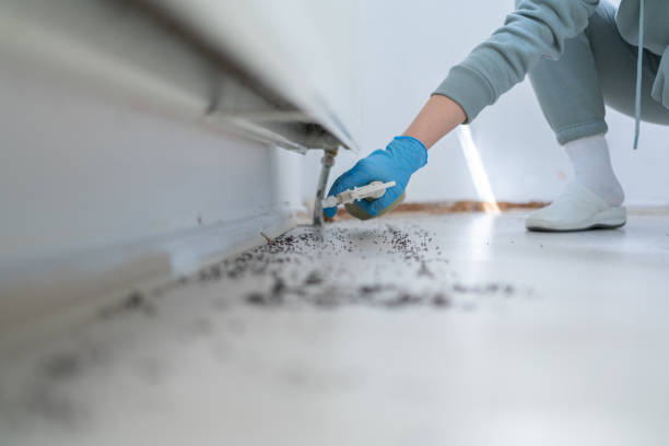 Best Wildlife Control Services  in Port Jervis, NY
